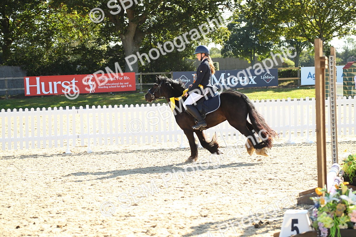 SBM_36059 - J5 - Junior Pony 50cm Championship
