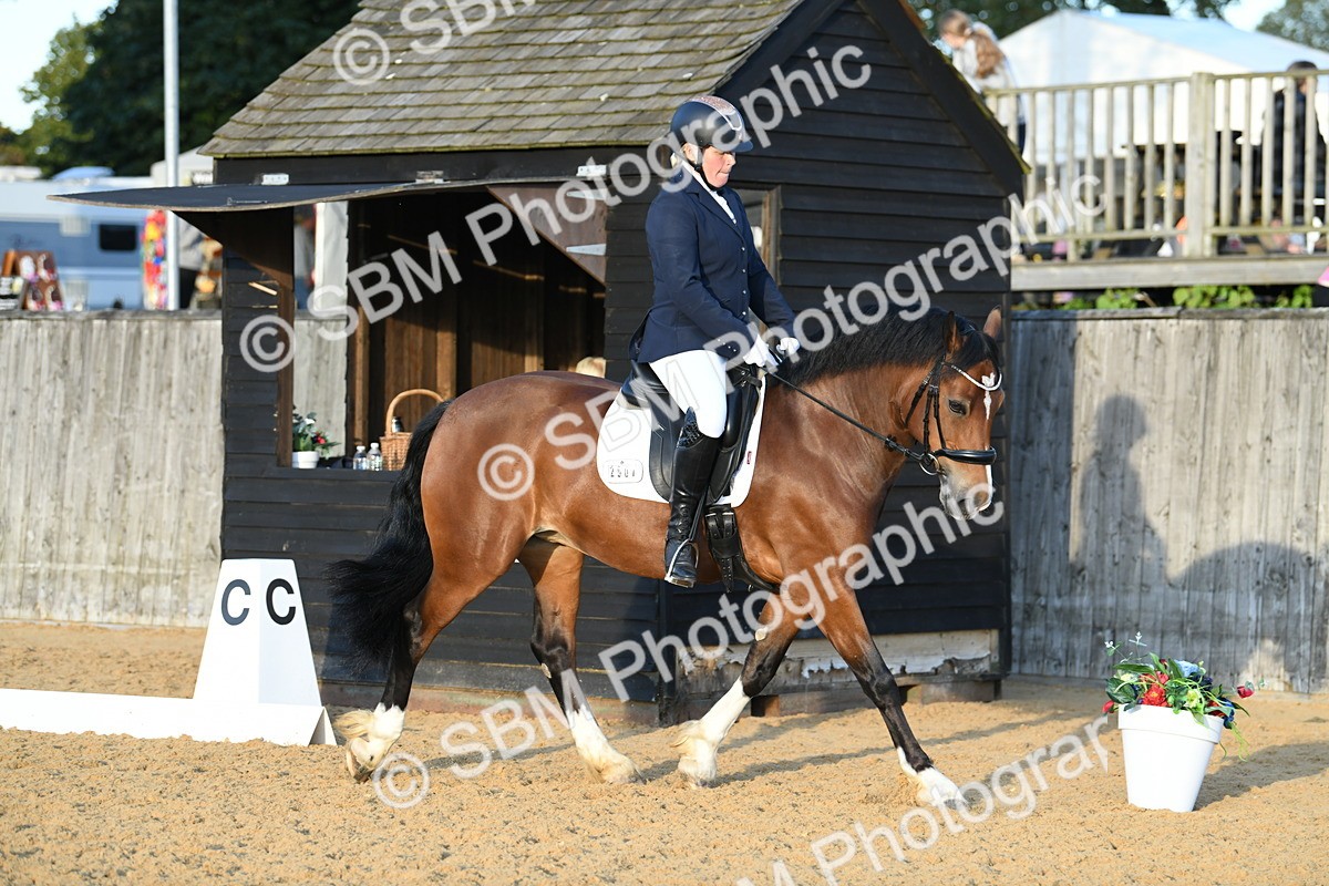 SBM_30918 - D16 - Small Tour Championship - Novice 28