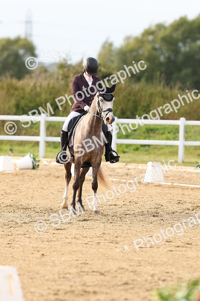 SBM_014608