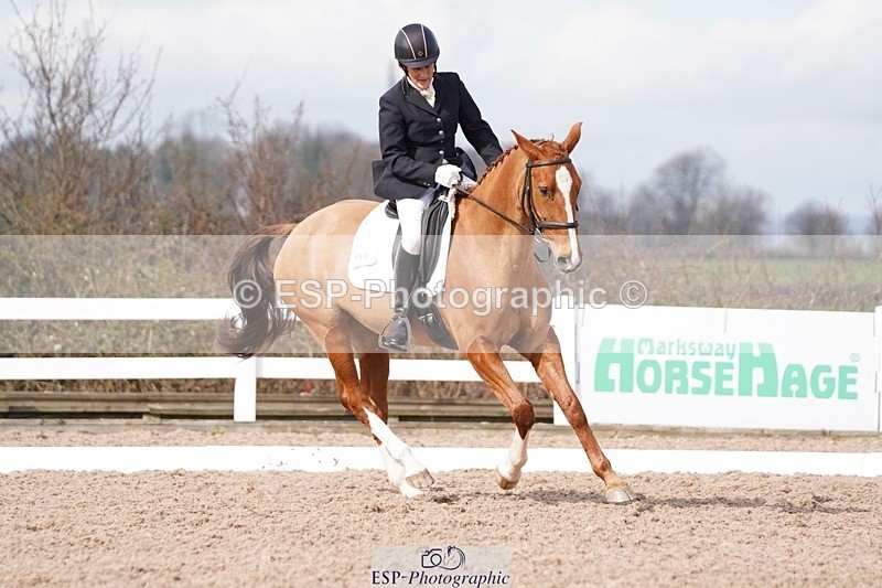 250322-105122-00181 - DR Elementary 1 Test