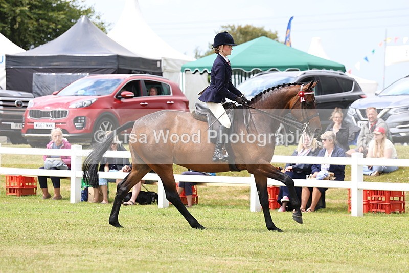 3E7A0876 - Class 8: Open Riding Horse/Hack