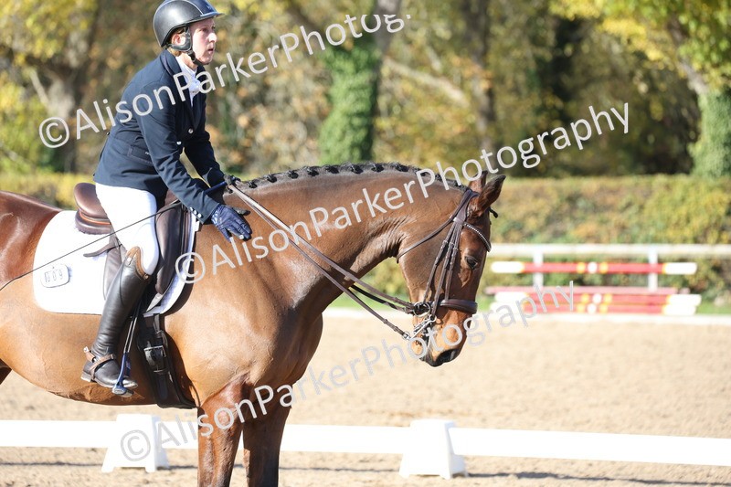 20251102-1033 - Class 5 - Elementary 5