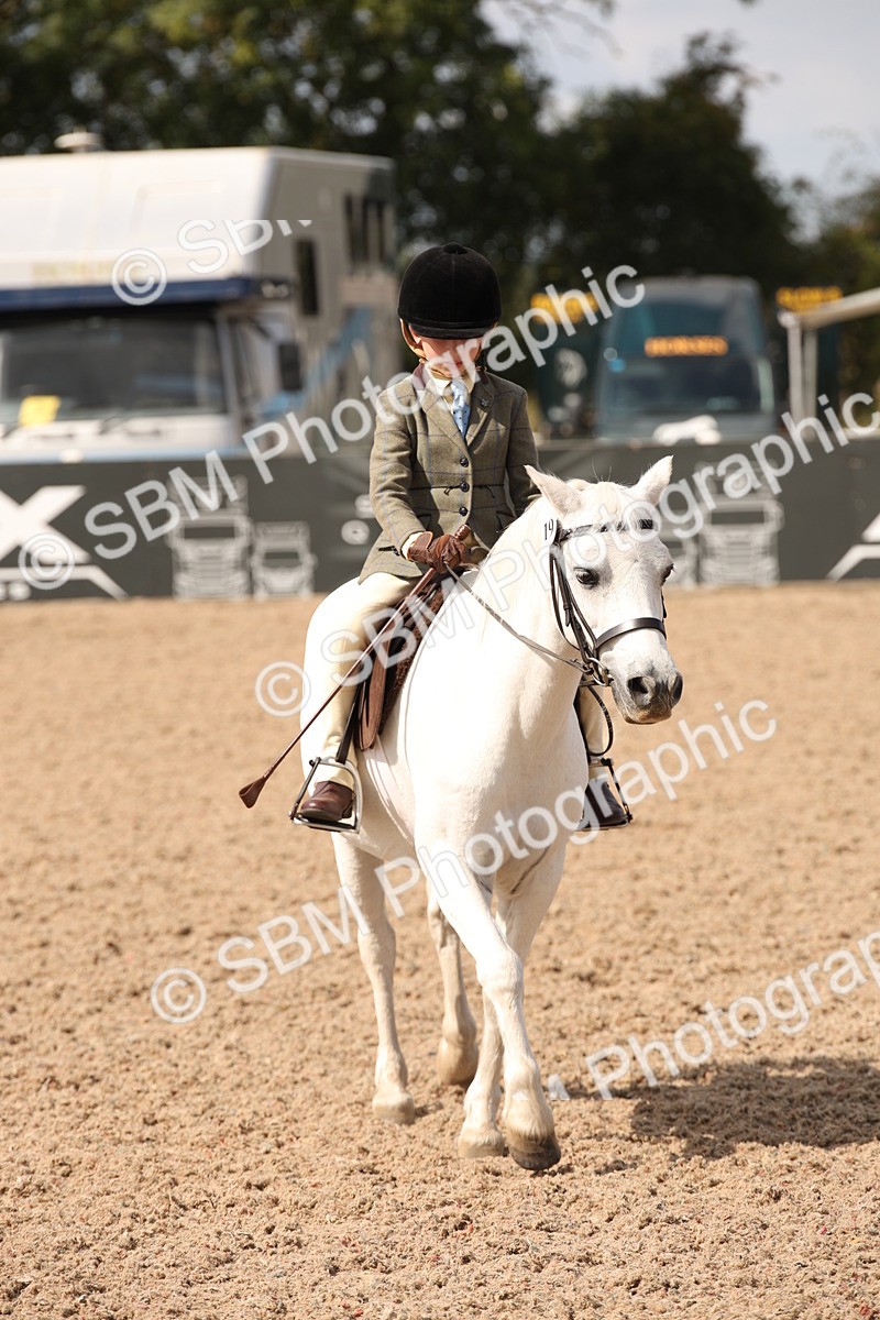 SBM_03761 - Class 19 Judge's Favourite