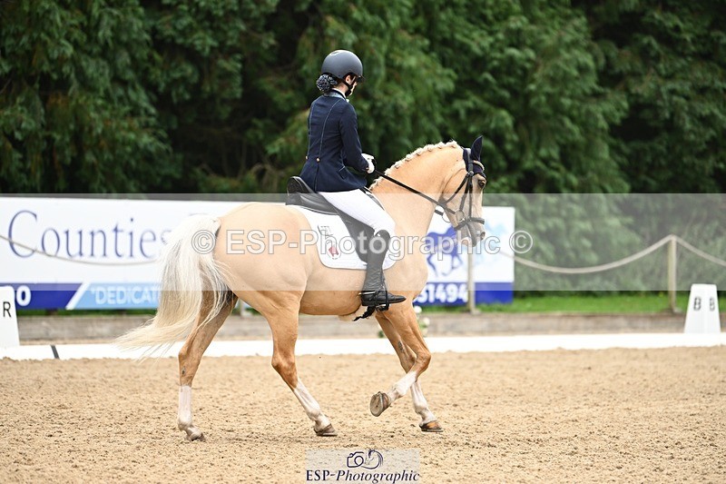 240811-122833-05838 - 301-Sophia.Longworth-Don.Deluxe