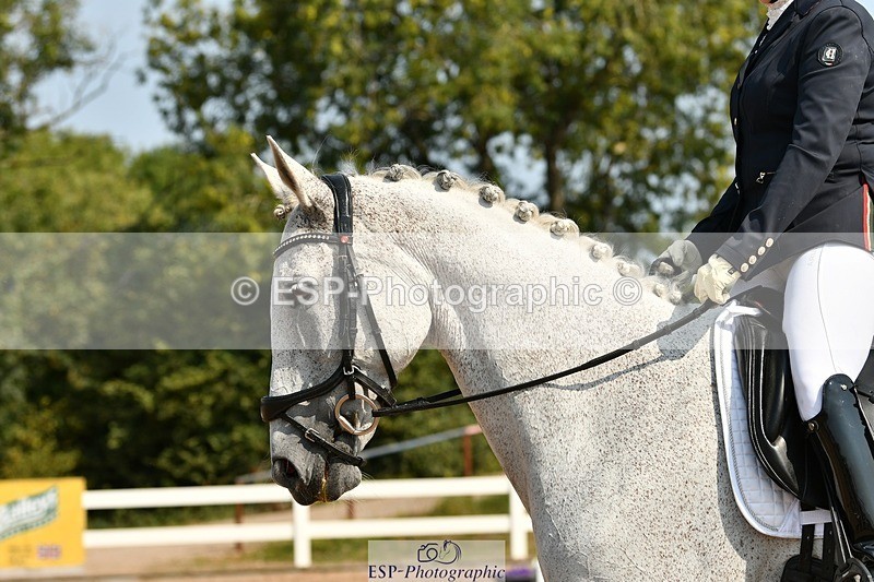 250817-111356-08509 - 086-Tammie.WellsSilver.moonshine