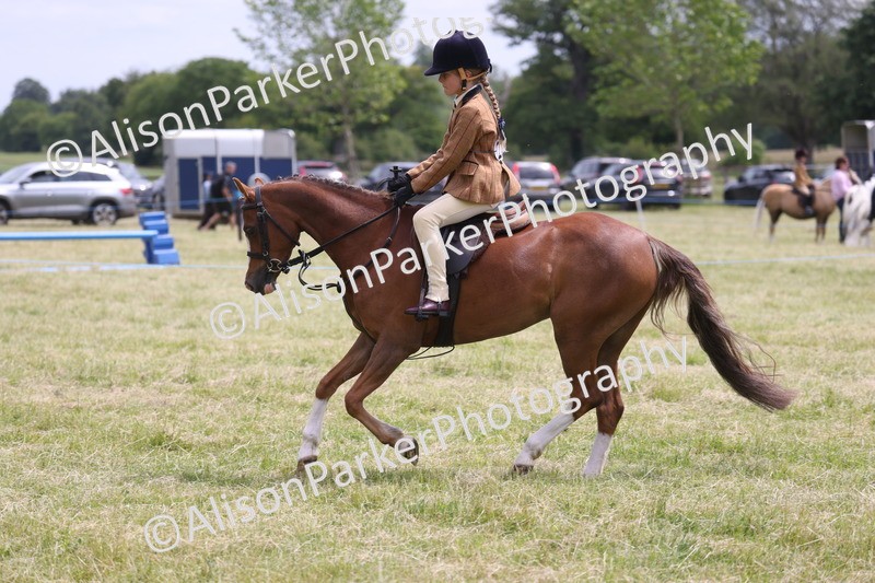 20260614-2832 - Class 22 - Open Working Hunter