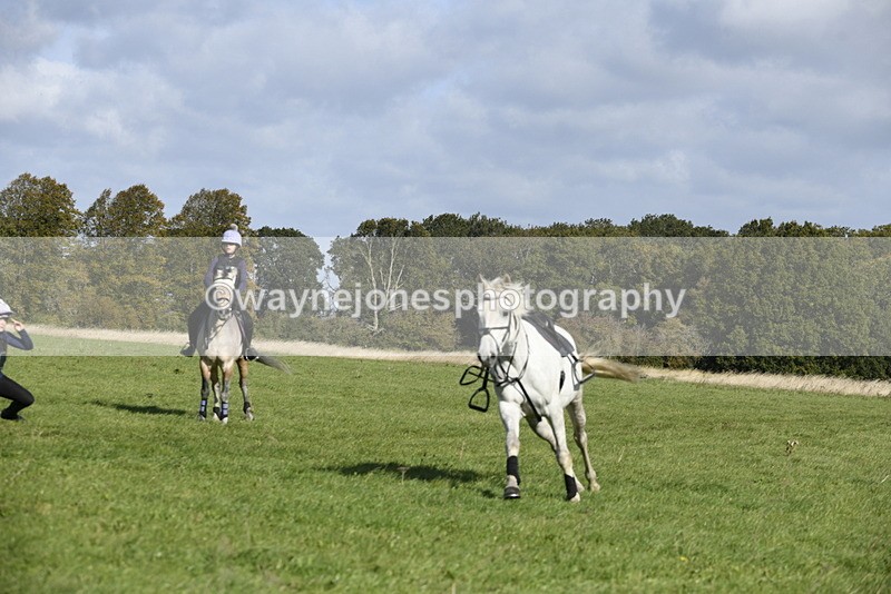 _DSC5464 - Time 10:49 to 11:23