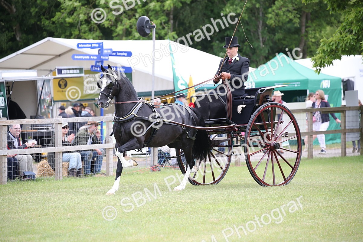 SBM_05797 - Class 12-15 - HOYS Private Driving