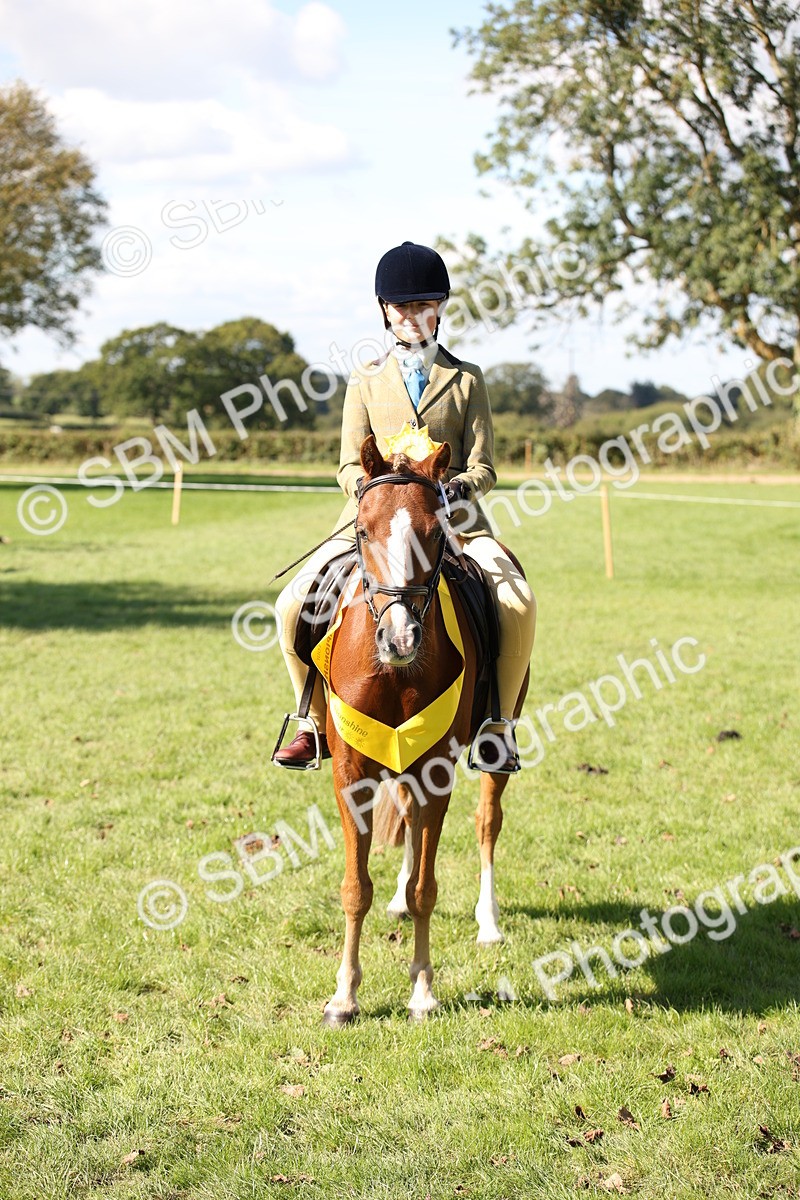 SBM_39039 - S11 - Best Ridden Horse & Pony