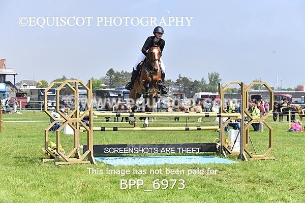 BPP_6973 - CLASS 3 RHS Fox Champ Qual (1.20m)