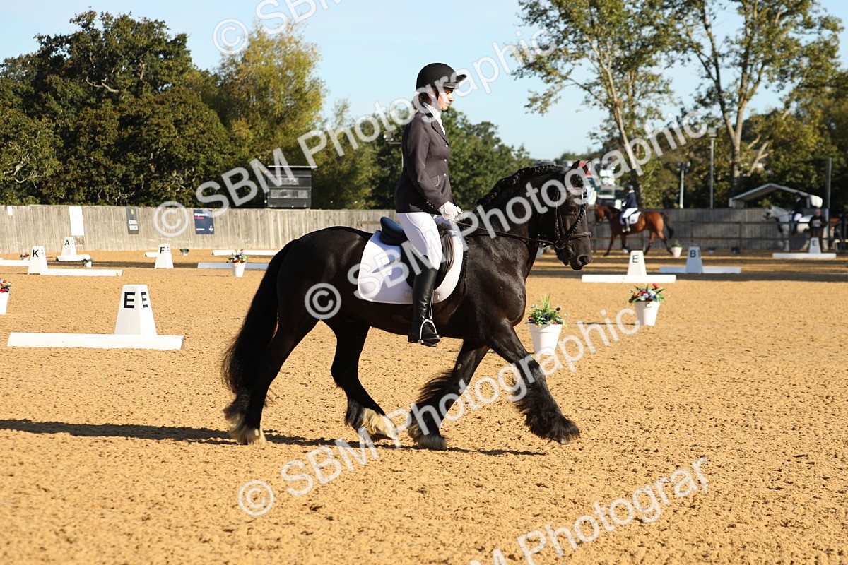 SBM_16411 - D10 - Small Tour Championship - Prelim 2