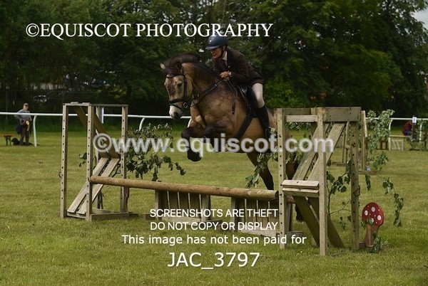 JAC_3797 - 65cm WORKING HUNTER