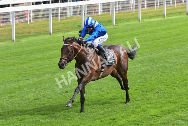 yr17082022r4-84 - Race 4 3.35pm Juddmonte International Stakes (British Champions Series Race)