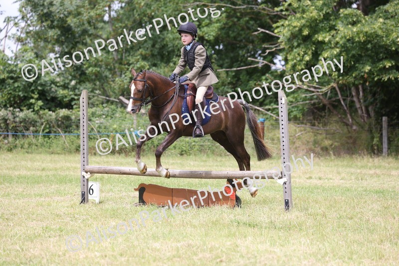 20260614-2853 - Class 22 - Open Working Hunter