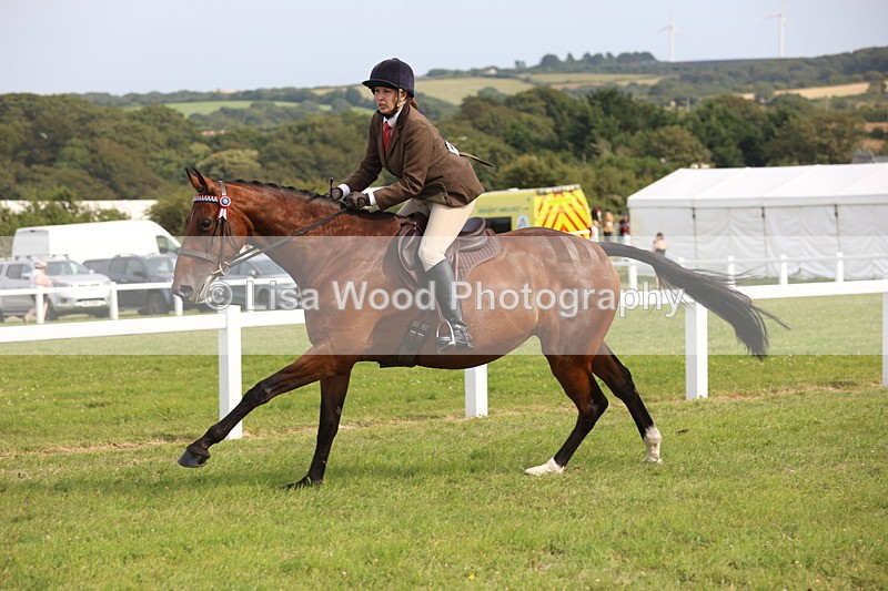 JPP_4264 - Class 25: Working Show Horse
