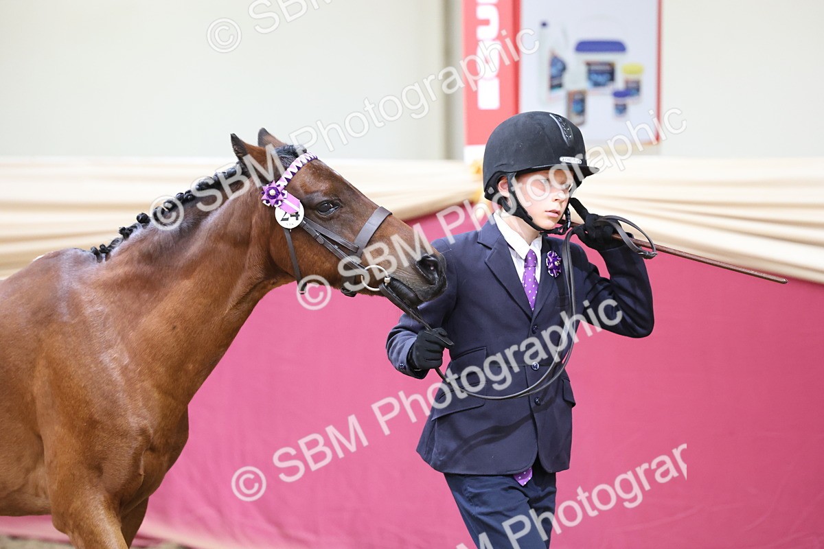 SBM_22482 - Class 902 - Supreme Final - IH Diamond