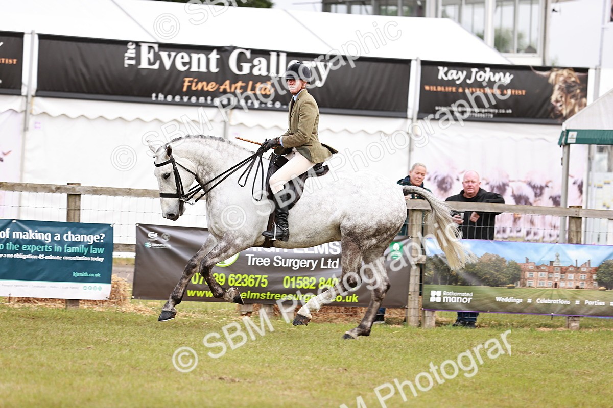 SBM_10779 - Class 81-84 - RIHS Ridden hunters Inc Ladies Hunter