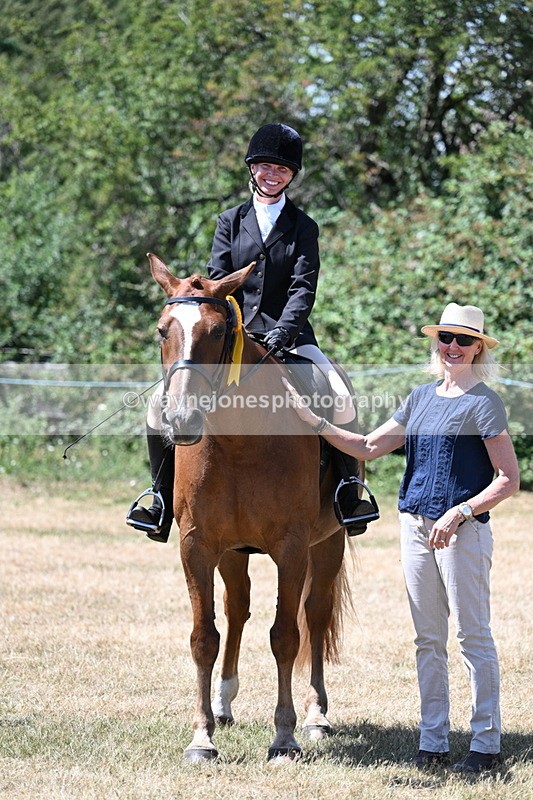 WJ7_3195 - Class 7 Riding Club Show Horse