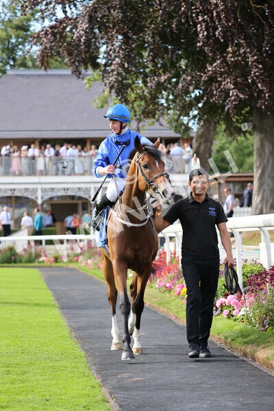 yr08072022r7-23 - Race 7 5.30pm Jigsaw Sports Branding Handicap