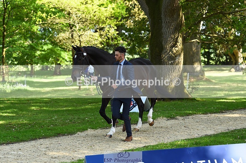 230524-161724-00814 - 258-DHI_KING_NELSON-Barnie_Brotherton-WEDTrotUp+DR