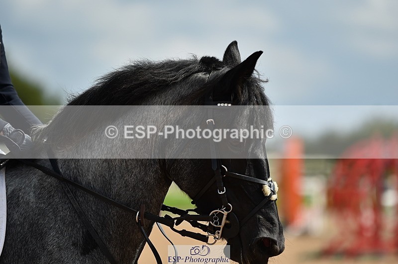 230902A-142306-01725 - Cls 3B Pony Medium 90cm