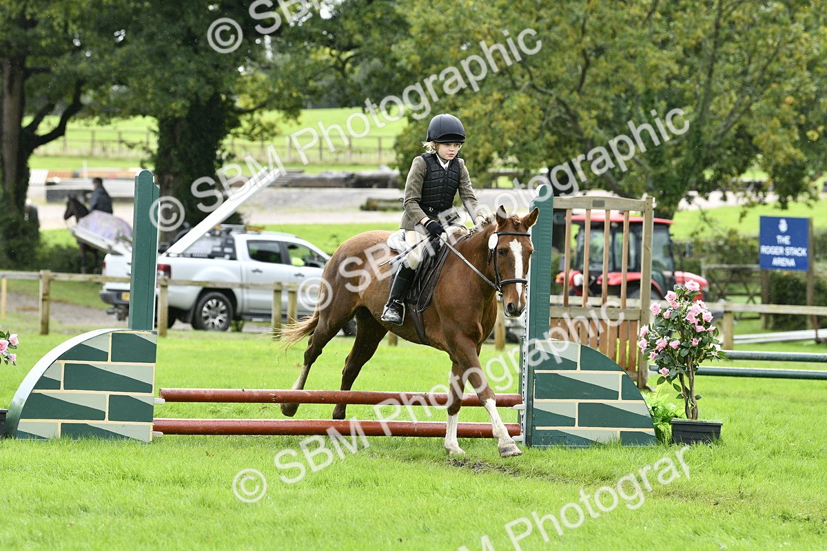 SBM_41465 - S32 - Mountain & Moorland Working Hunter Pony