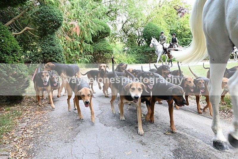 WJ6_3956 - Berks & Bucks - The Old farmhouse - Hound Exercise 20-08-25