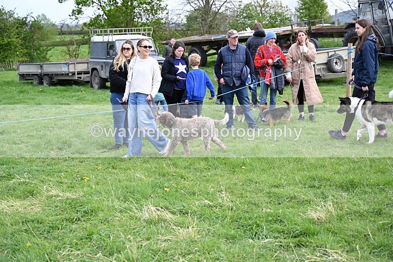 WJ6_8480 - Class 6 Best Rescue