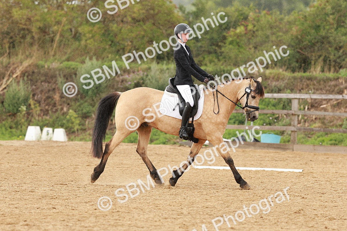 SBM_002872 - Novice 2