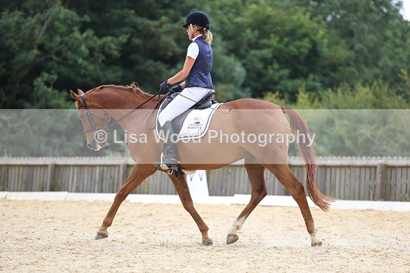 3E7A7210 - Class 9: Elementary 4 2024 - No sections