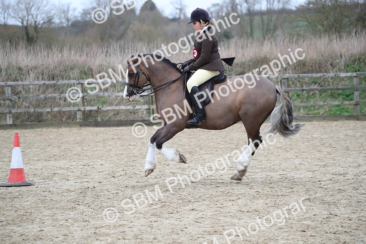 SBM_007087 - Class 10-13 - RIHS Small Large Breeds