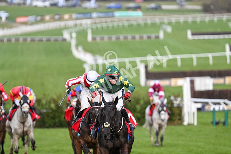 120325-Race 4-Stumptown-7019 - 12th March