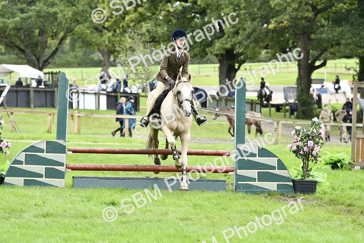 SBM_45601 - S33 - Working Hunter Pony
