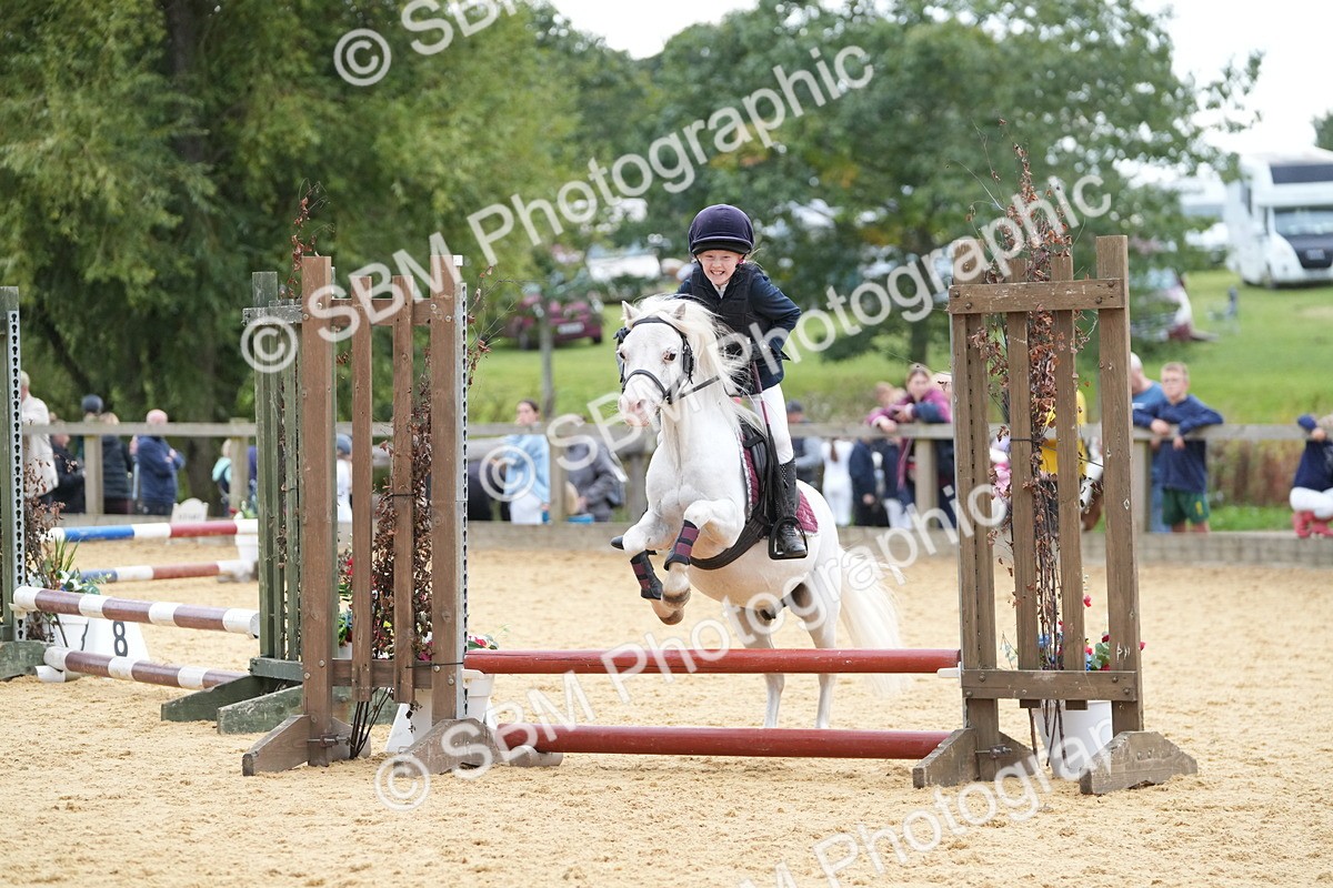 SBM_74632 - J4 - Mini Tour Junior Pony 45cm Championship