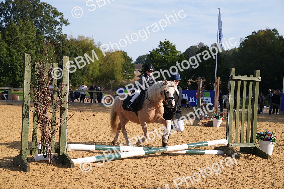 SBM_61249 - J1 - Mini Tour Junior Pony Lead Rein 30cm Championship