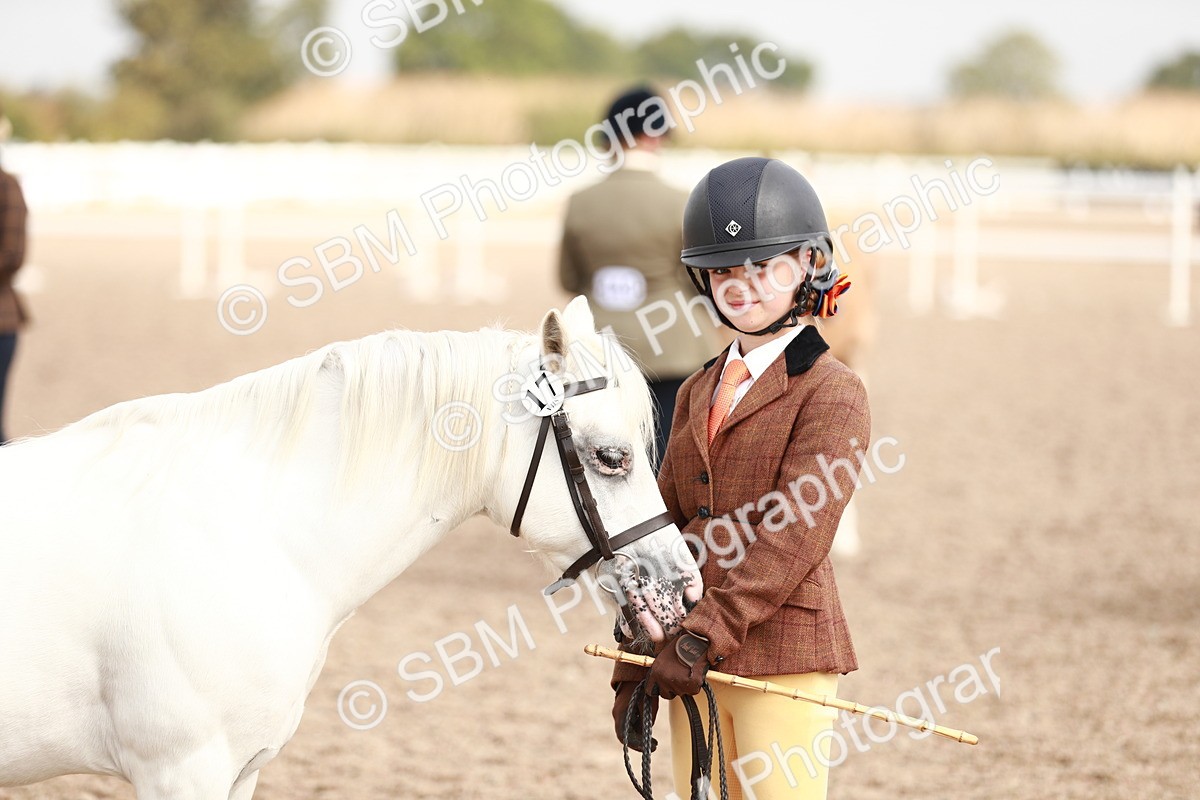 SBM_11824 - Class 206 IH Non Show Type Pony