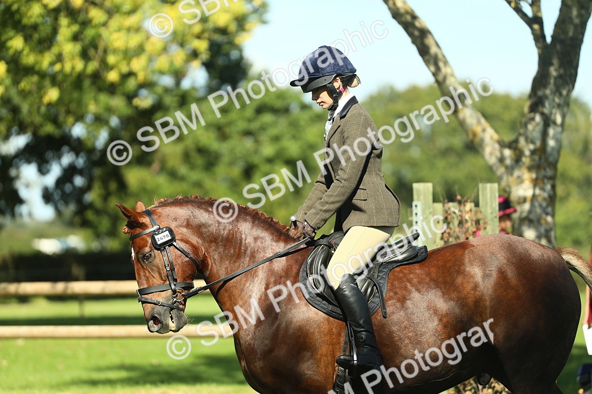 SBM_39146 - S29 - Novice & Newcomers Working Hunter Pony