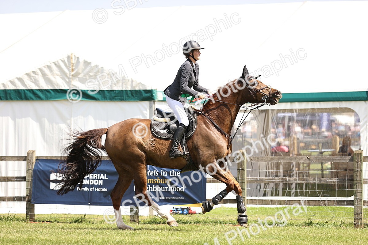 SBM_04100 - Class 201 - British Horse Feedds Speedi Beet HOYS Grade C