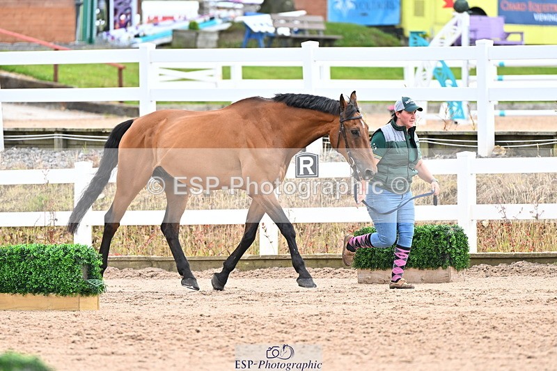 240718A-105326-01997 - Trot Up 2pm to 3pm - This folder is not in time order