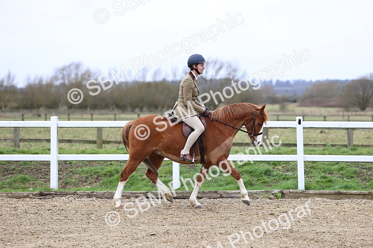 SBM_006736 - Class 29 - 30 - M&M Pure Novice Small-Large Breeds