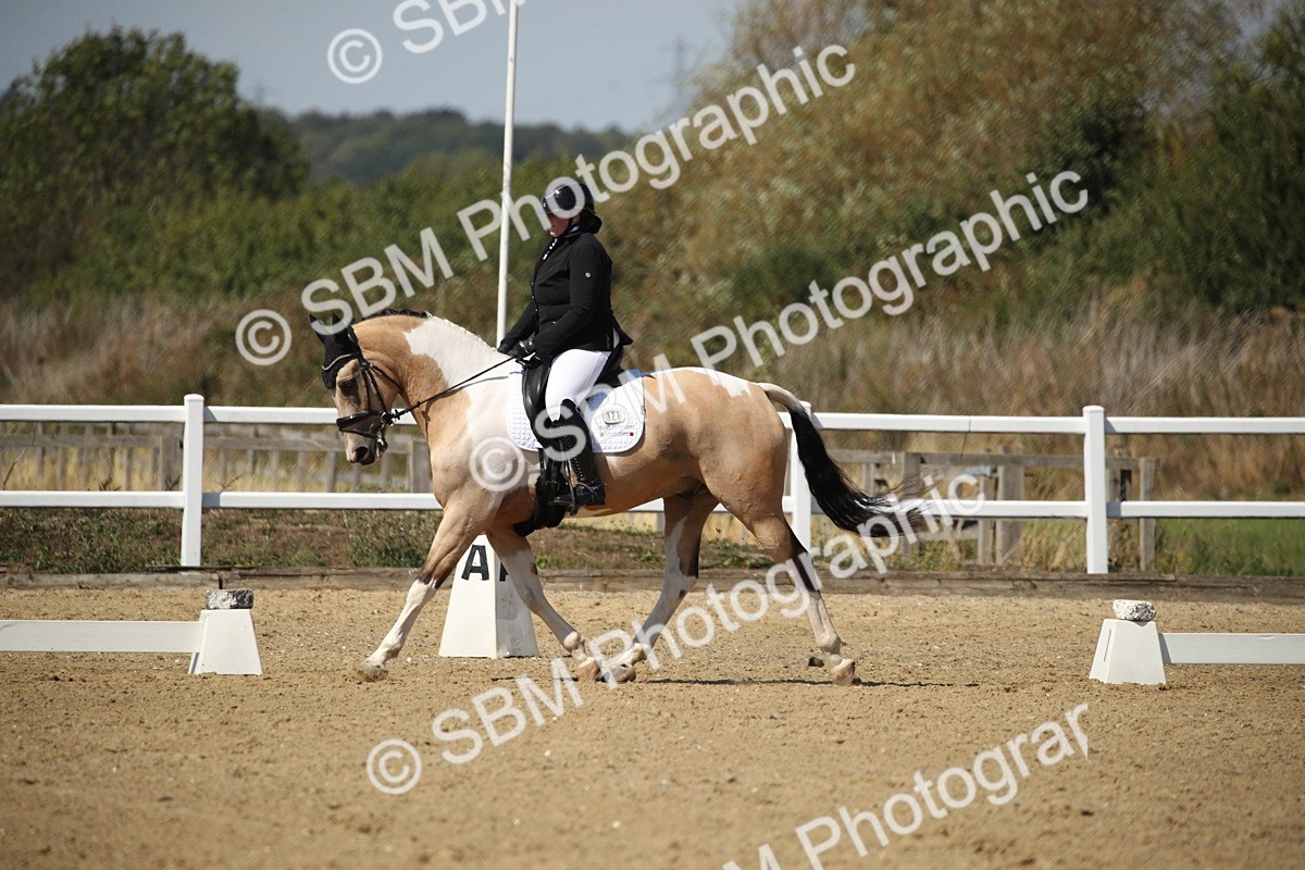 SBM_005077 - Class 11 - Novice 5 - 11.41-12.58