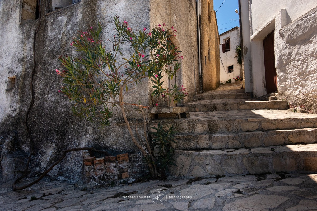 Bougainvillea street - Crete