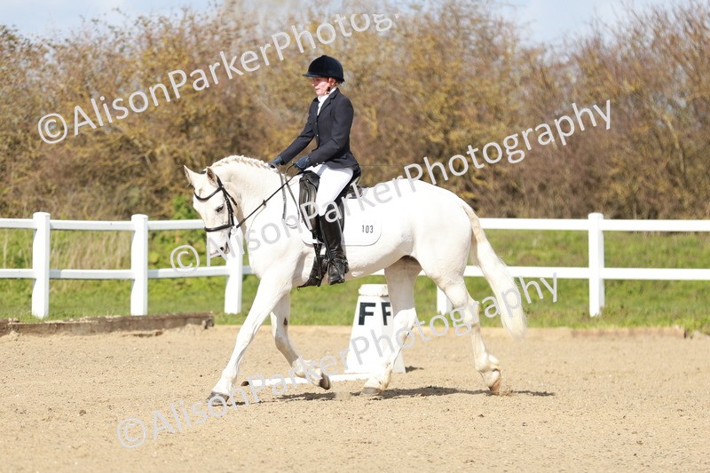 20260314-2962 - DR3 - Prelim 1