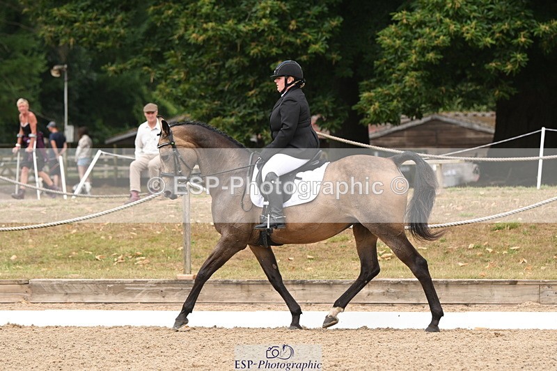 250719A-104231-03974 - 127-Jocelyn.Gilmore-Spring.Lily