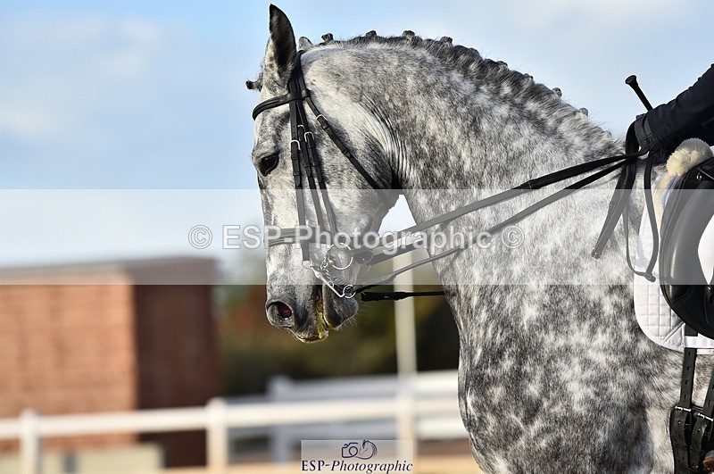 231104A-145700-02225 - Cls 13 Adv Medium 91