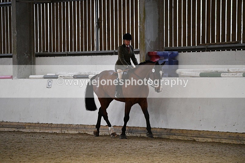 WJ5_8778 - Class 15 Ridden Show Horse