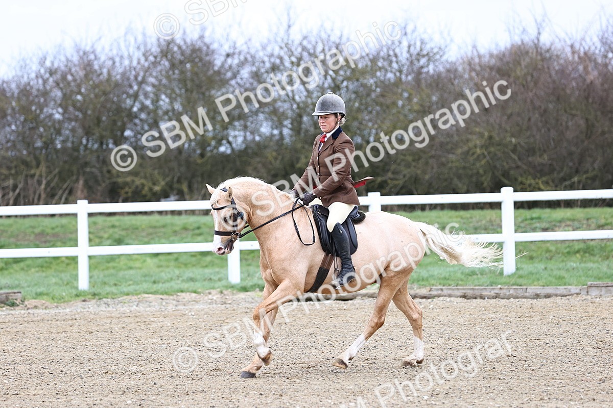 SBM_006793 - Class 29 - 30 - M&M Pure Novice Small-Large Breeds