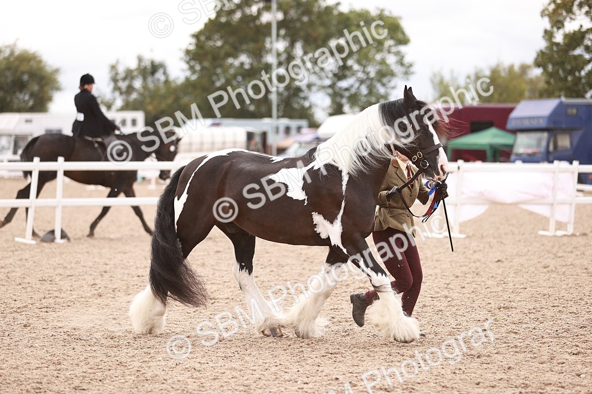 SBM_18453 - Class 419 - Best Maine and Tail - Jnr