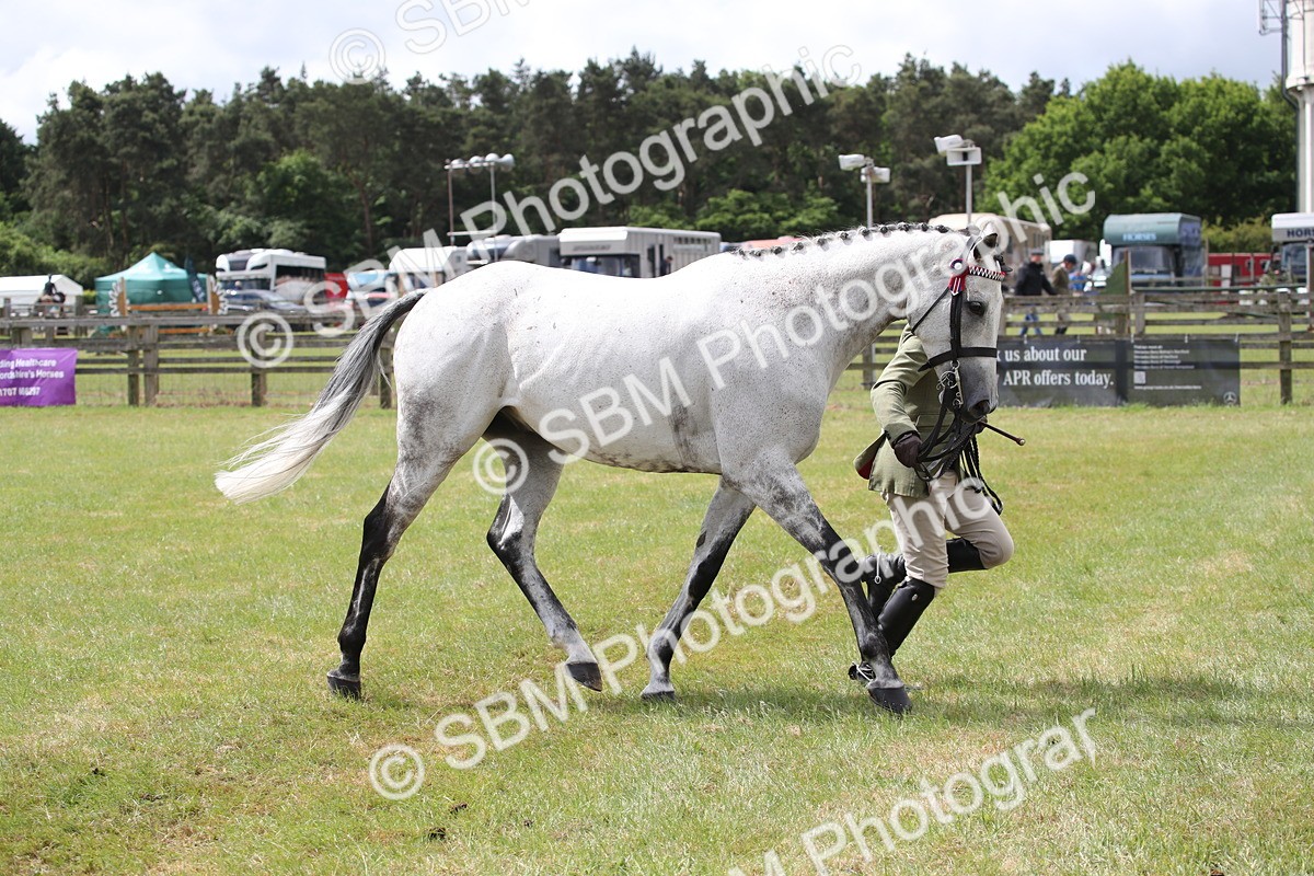 SBM_14237 - Class 113-114 - Retraining of Racehorses Ridden