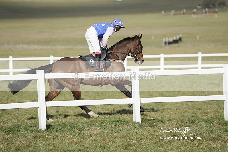 PtP 260223 701 - South & West Wilts Point-to-Point Larkhill 26/02/23